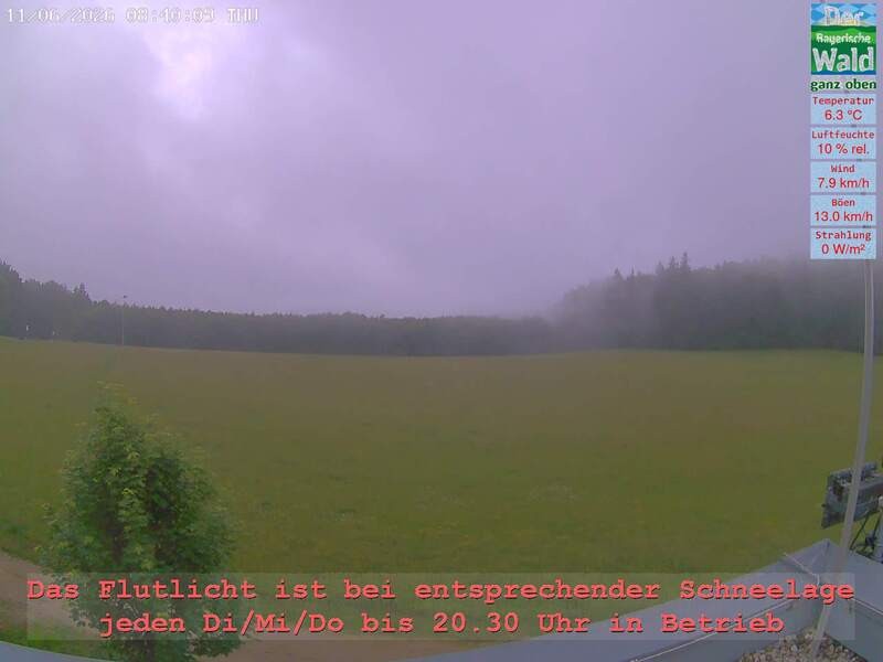 Archiv Foto Webcam Naturpark Oberer Bayerischer Wald - Infopunkt Althütte