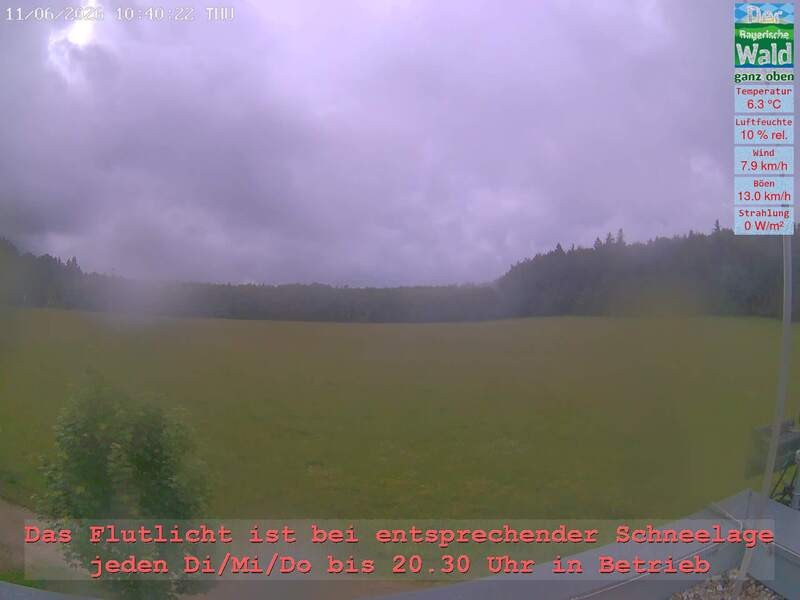 Archiv Foto Webcam Naturpark Oberer Bayerischer Wald - Infopunkt Althütte