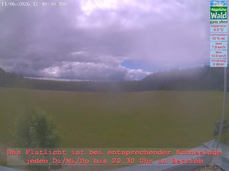 Archiv Foto Webcam Naturpark Oberer Bayerischer Wald - Infopunkt Althütte