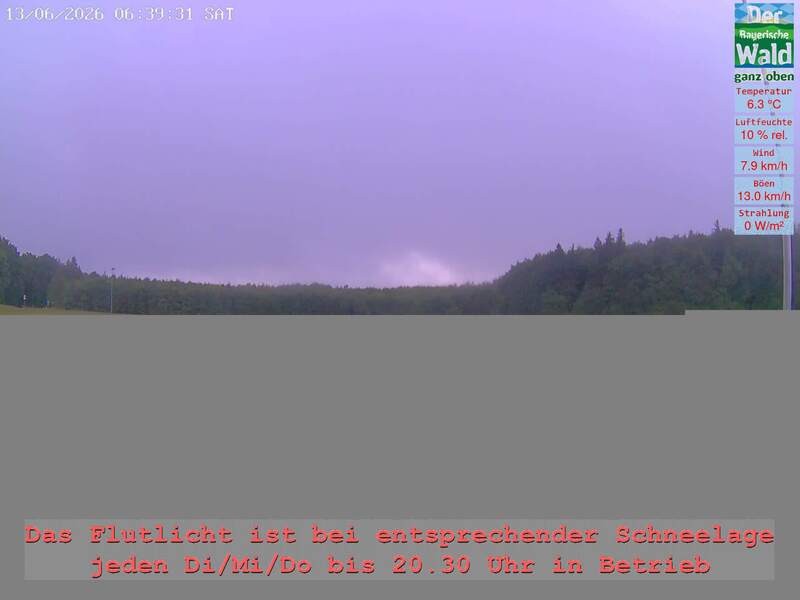 Archiv Foto Webcam Naturpark Oberer Bayerischer Wald - Infopunkt Althütte