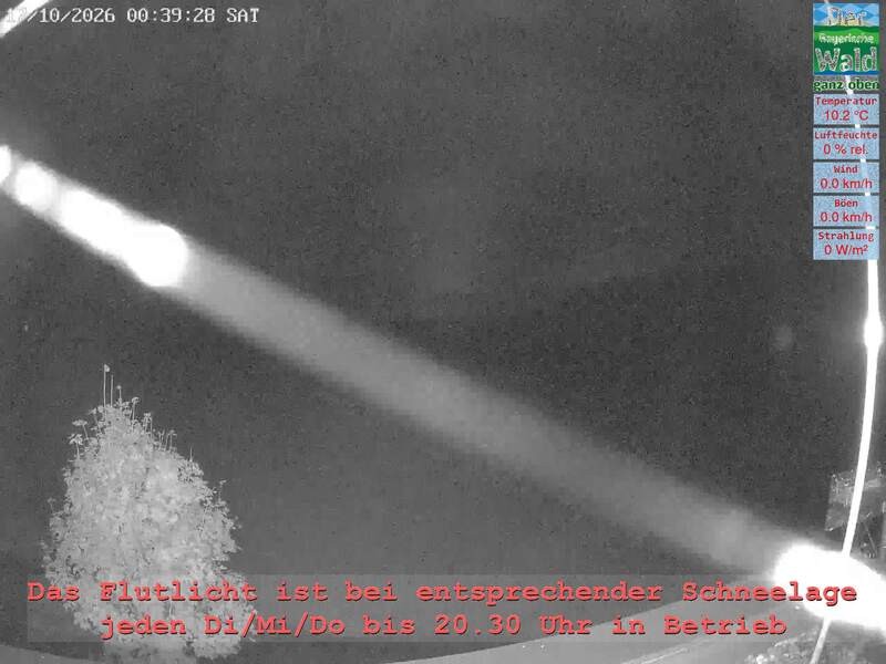 Archiv Foto Webcam Naturpark Oberer Bayerischer Wald - Infopunkt Althütte