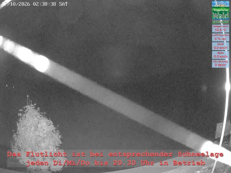 Archiv Foto Webcam Naturpark Oberer Bayerischer Wald - Infopunkt Althütte