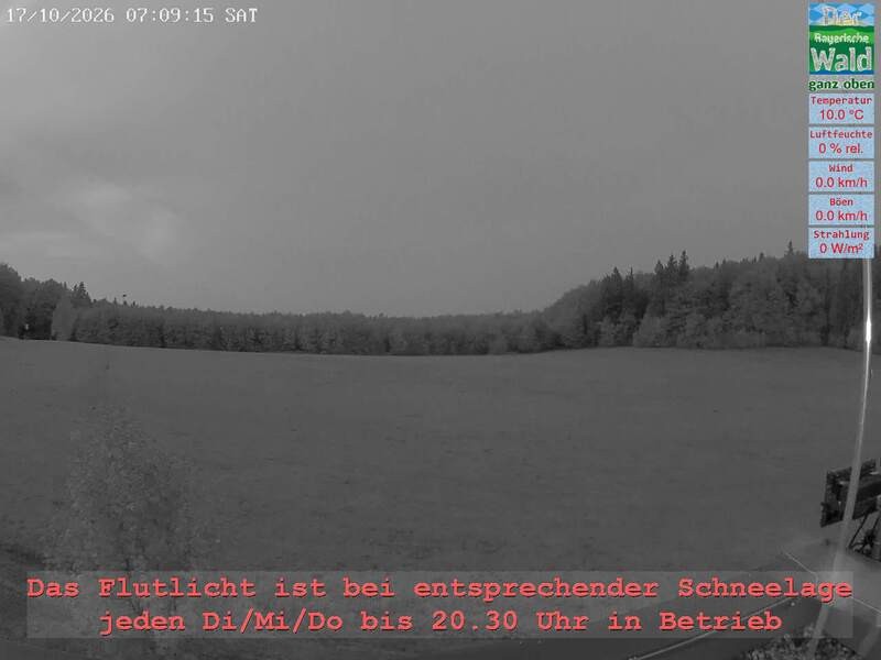 Archiv Foto Webcam Naturpark Oberer Bayerischer Wald - Infopunkt Althütte