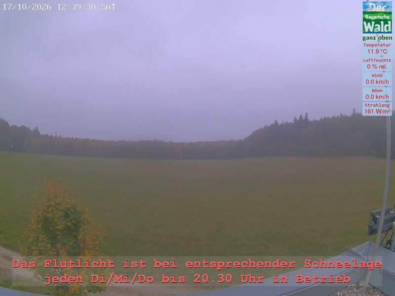 Archiv Foto Webcam Naturpark Oberer Bayerischer Wald - Infopunkt Althütte