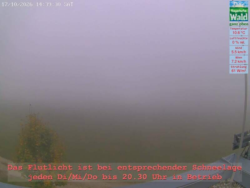Archiv Foto Webcam Naturpark Oberer Bayerischer Wald - Infopunkt Althütte