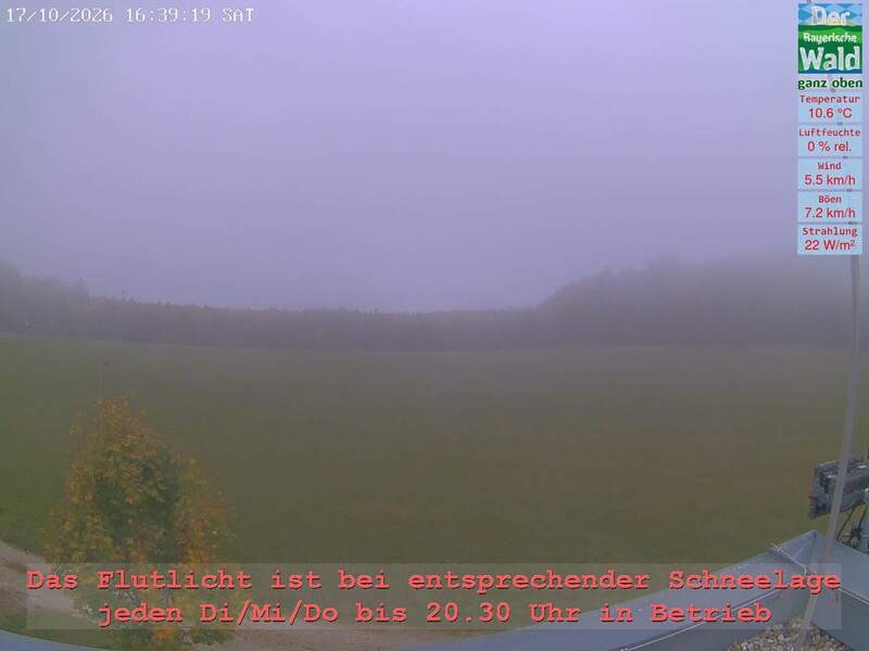 Archiv Foto Webcam Naturpark Oberer Bayerischer Wald - Infopunkt Althütte