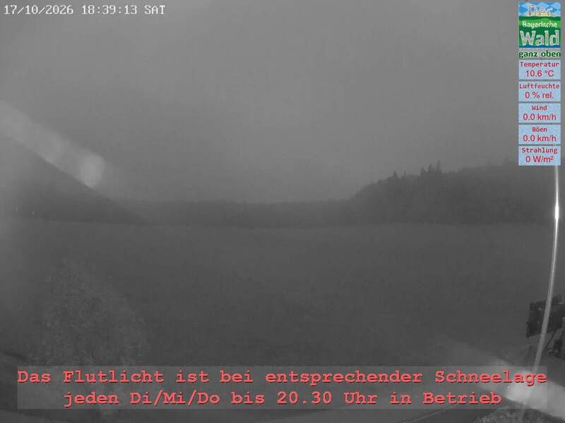 Archiv Foto Webcam Naturpark Oberer Bayerischer Wald - Infopunkt Althütte