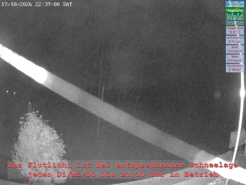 Archiv Foto Webcam Naturpark Oberer Bayerischer Wald - Infopunkt Althütte