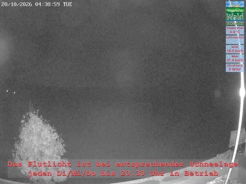 Archiv Foto Webcam Naturpark Oberer Bayerischer Wald - Infopunkt Althütte