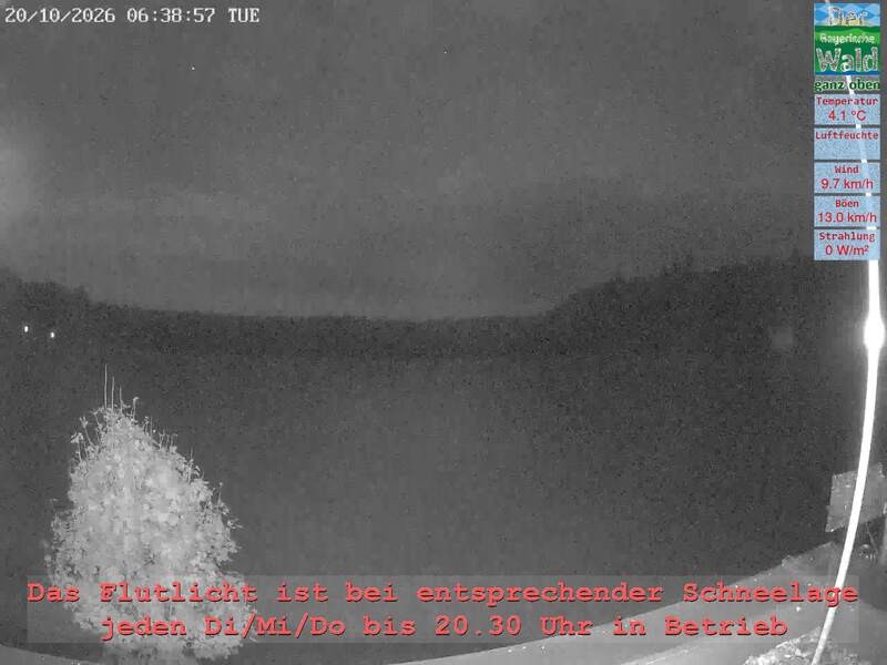 Archiv Foto Webcam Naturpark Oberer Bayerischer Wald - Infopunkt Althütte