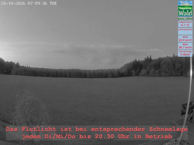 Archiv Foto Webcam Naturpark Oberer Bayerischer Wald - Infopunkt Althütte