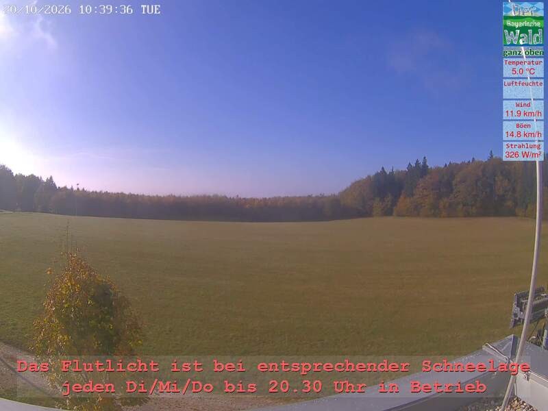 Archiv Foto Webcam Naturpark Oberer Bayerischer Wald - Infopunkt Althütte