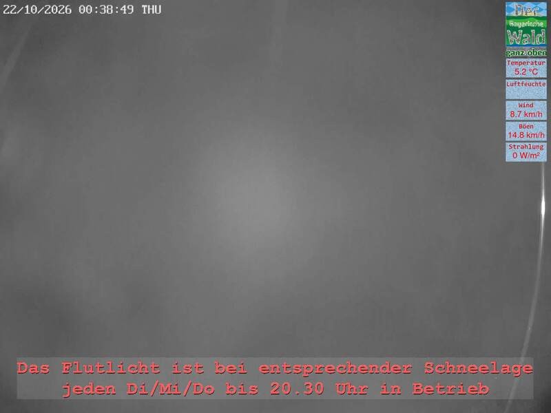 Archiv Foto Webcam Naturpark Oberer Bayerischer Wald - Infopunkt Althütte