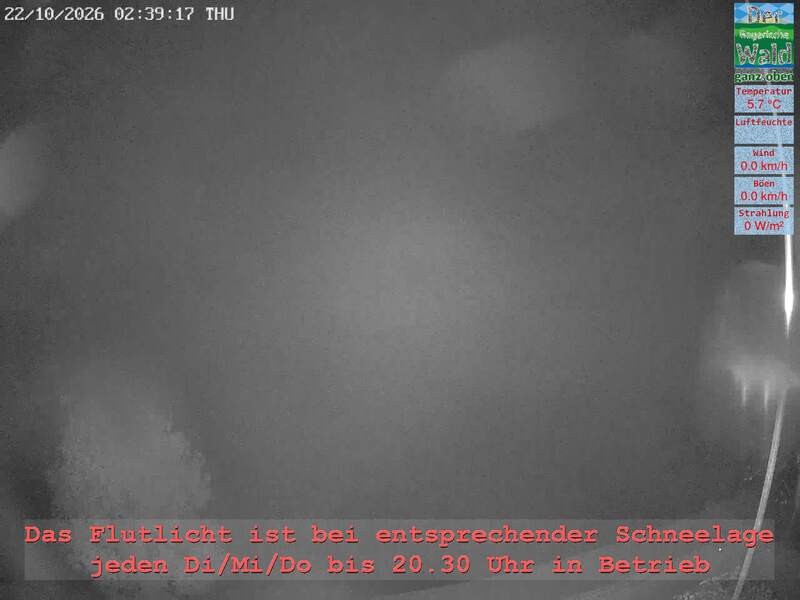Archiv Foto Webcam Naturpark Oberer Bayerischer Wald - Infopunkt Althütte