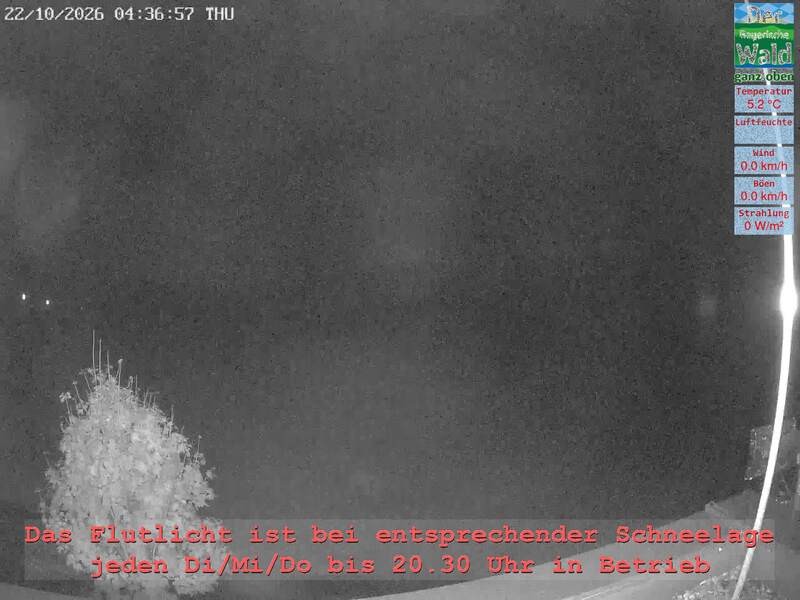 Archiv Foto Webcam Naturpark Oberer Bayerischer Wald - Infopunkt Althütte