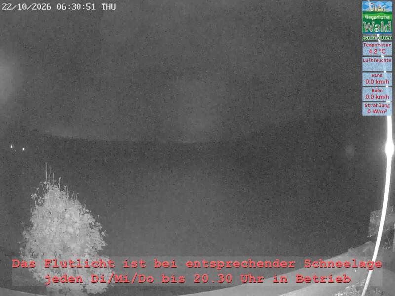 Archiv Foto Webcam Naturpark Oberer Bayerischer Wald - Infopunkt Althütte