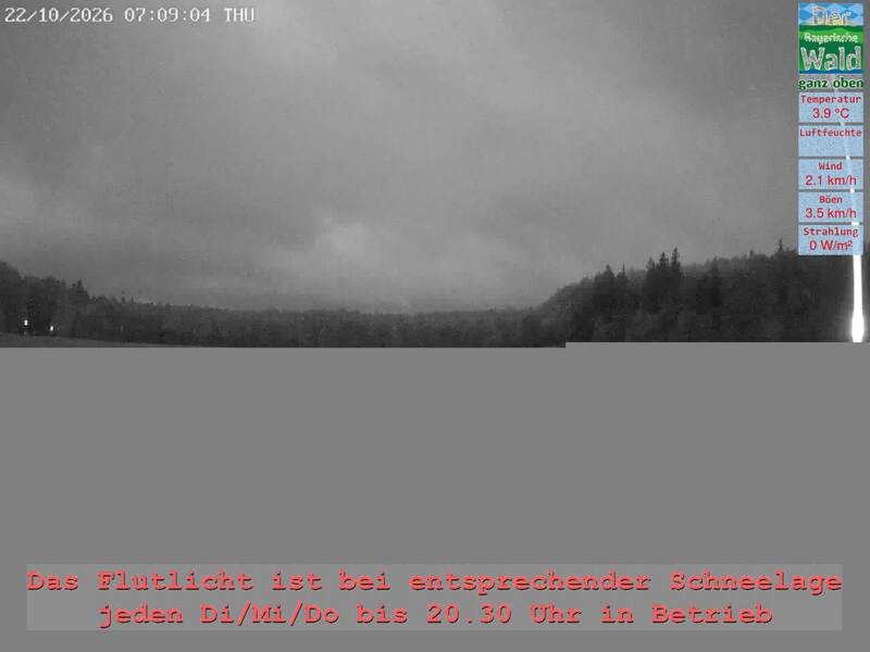 Archiv Foto Webcam Naturpark Oberer Bayerischer Wald - Infopunkt Althütte