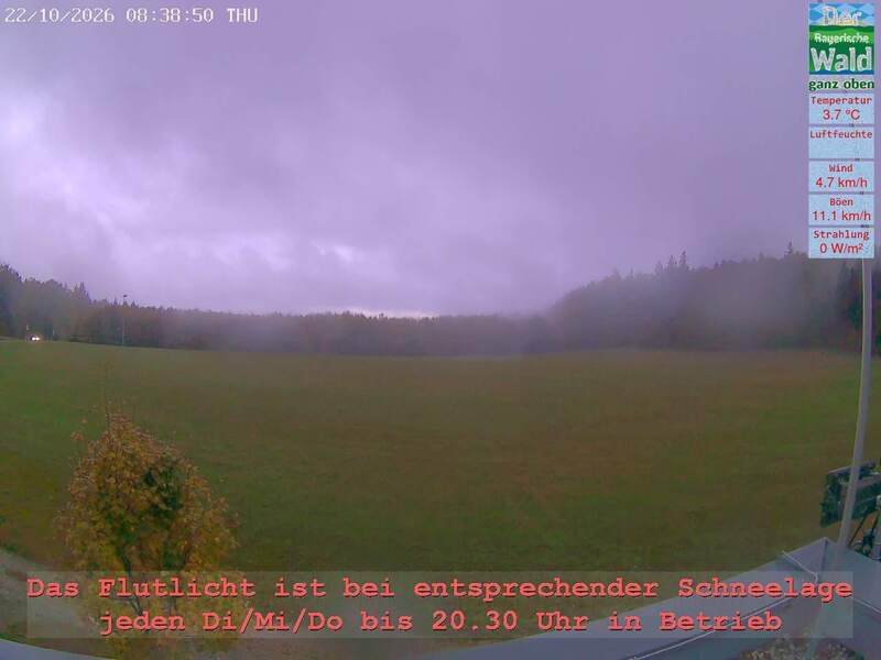 Archiv Foto Webcam Naturpark Oberer Bayerischer Wald - Infopunkt Althütte