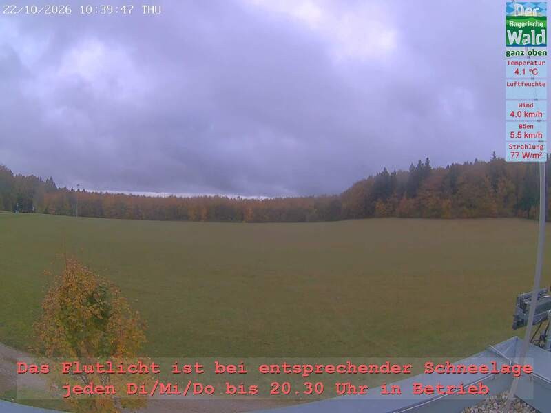 Archiv Foto Webcam Naturpark Oberer Bayerischer Wald - Infopunkt Althütte