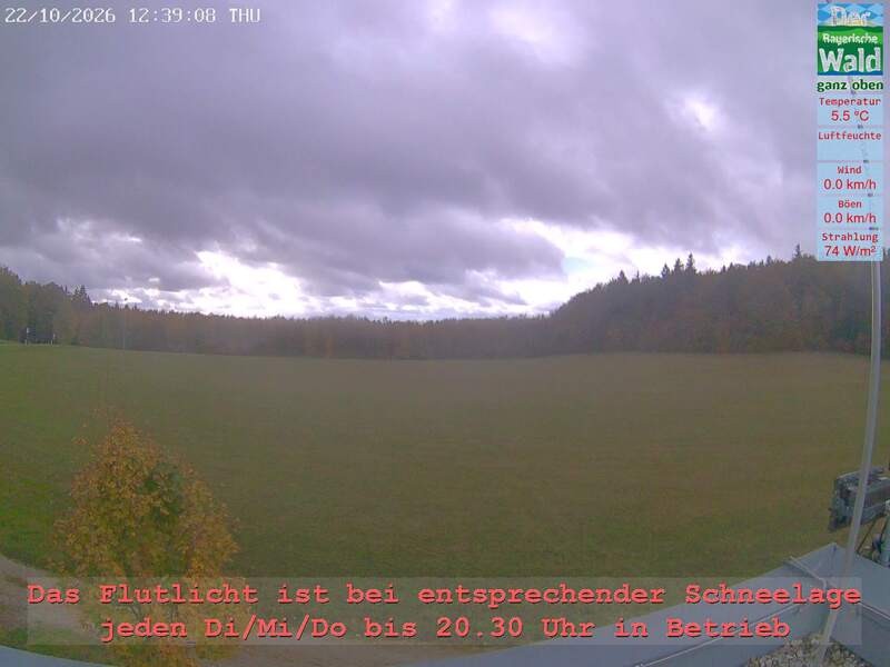 Archiv Foto Webcam Naturpark Oberer Bayerischer Wald - Infopunkt Althütte