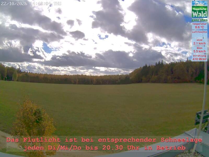 Archiv Foto Webcam Naturpark Oberer Bayerischer Wald - Infopunkt Althütte