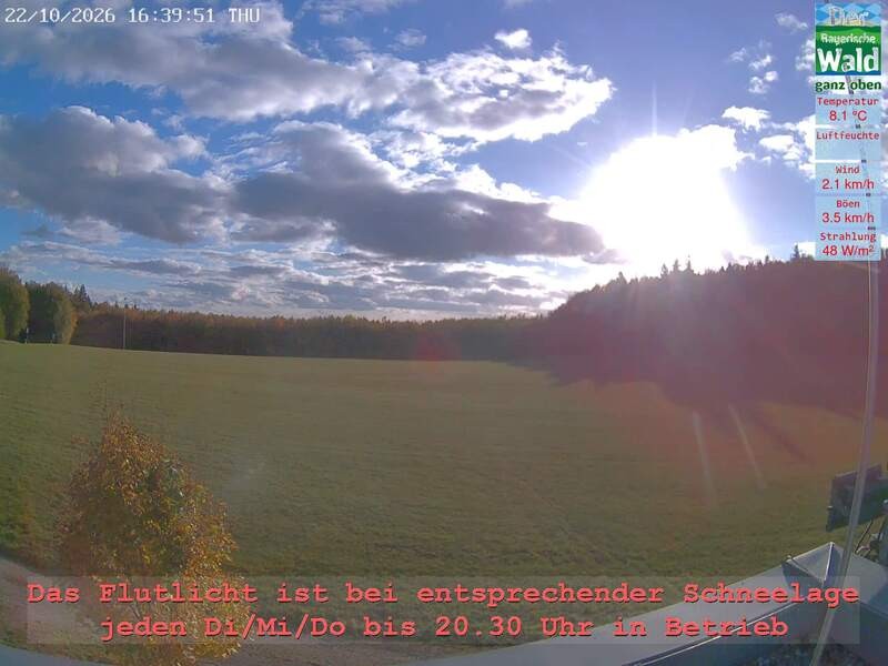 Archiv Foto Webcam Naturpark Oberer Bayerischer Wald - Infopunkt Althütte