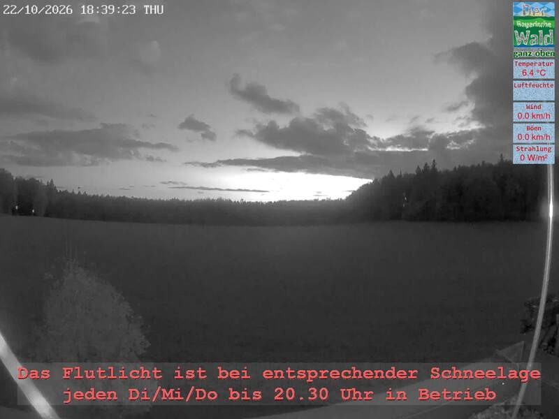 Archiv Foto Webcam Naturpark Oberer Bayerischer Wald - Infopunkt Althütte