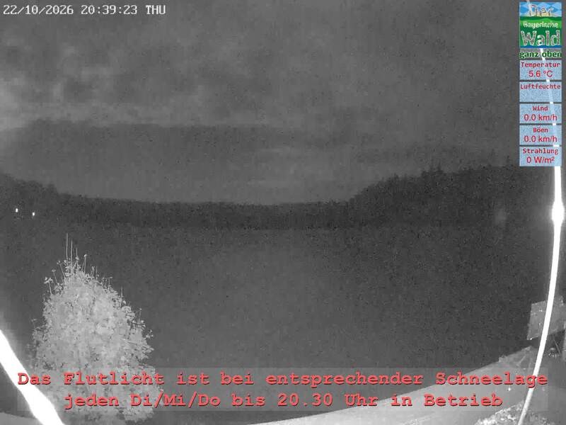 Archiv Foto Webcam Naturpark Oberer Bayerischer Wald - Infopunkt Althütte