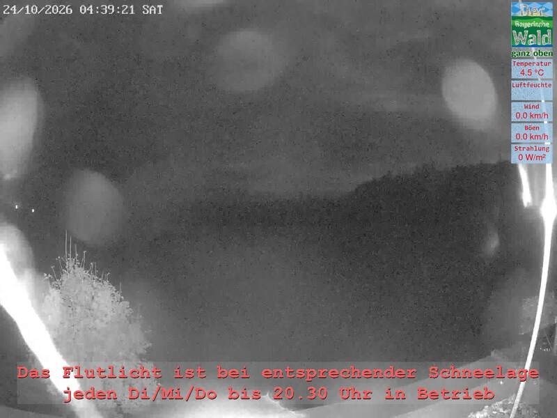 Archiv Foto Webcam Naturpark Oberer Bayerischer Wald - Infopunkt Althütte