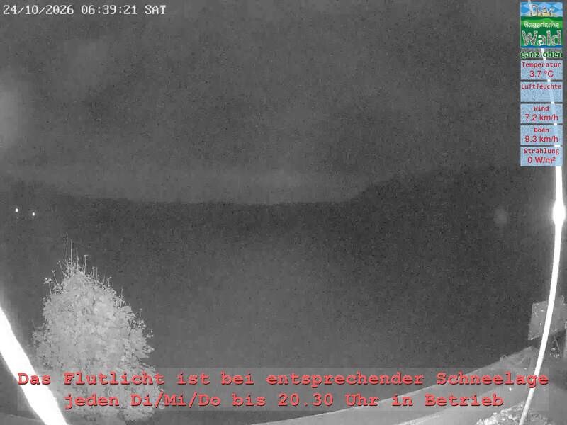 Archiv Foto Webcam Naturpark Oberer Bayerischer Wald - Infopunkt Althütte