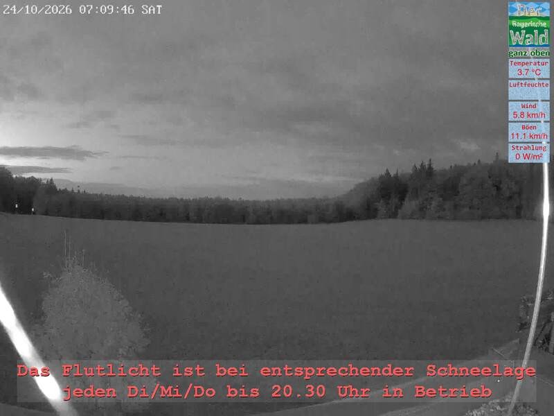 Archiv Foto Webcam Naturpark Oberer Bayerischer Wald - Infopunkt Althütte