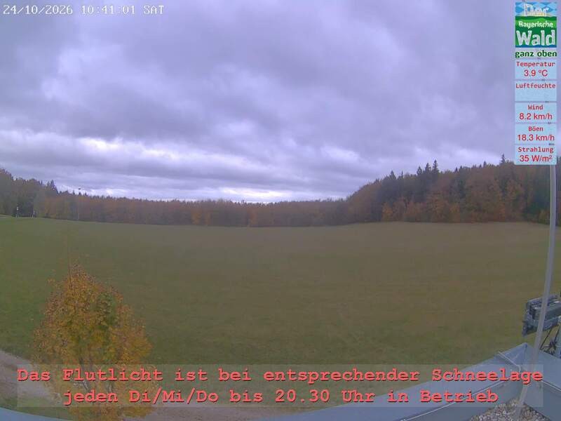 Archiv Foto Webcam Naturpark Oberer Bayerischer Wald - Infopunkt Althütte