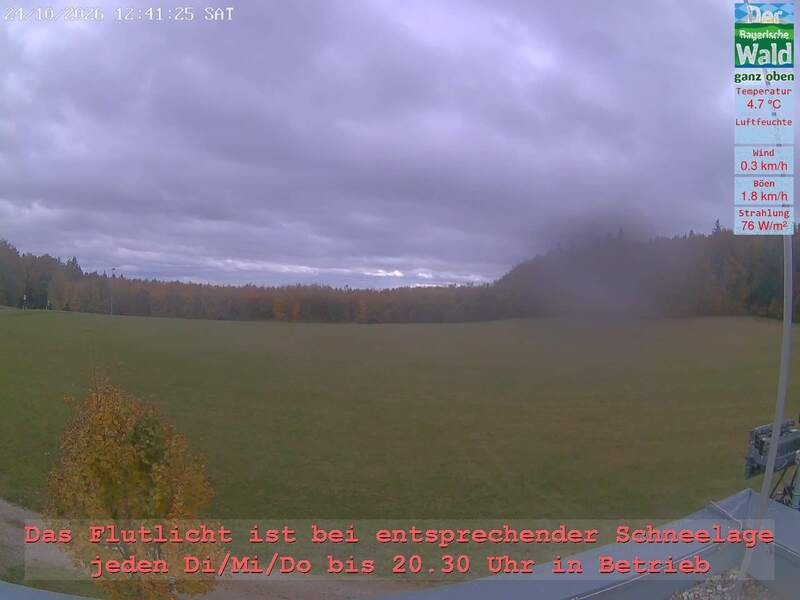 Archiv Foto Webcam Naturpark Oberer Bayerischer Wald - Infopunkt Althütte