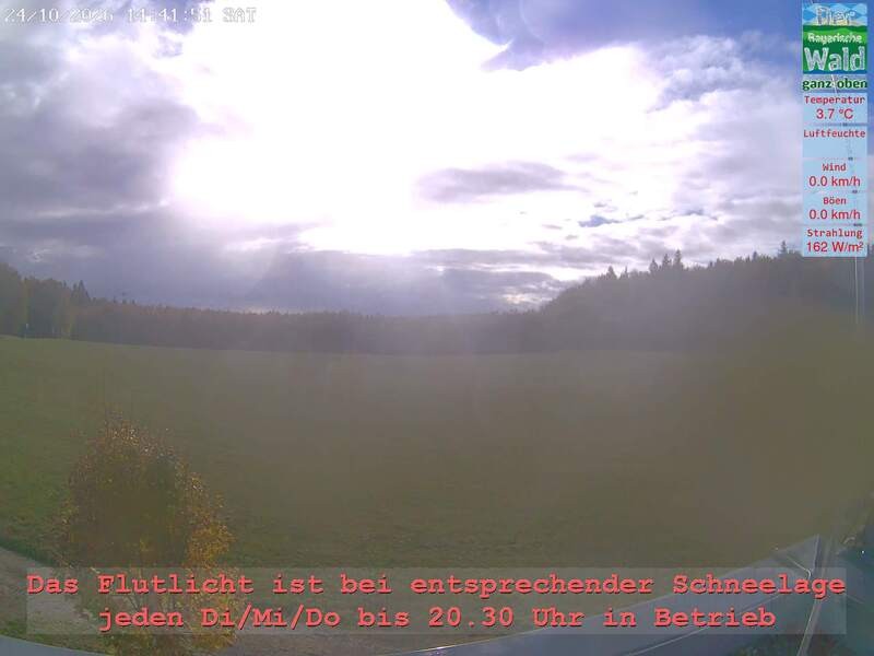 Archiv Foto Webcam Naturpark Oberer Bayerischer Wald - Infopunkt Althütte