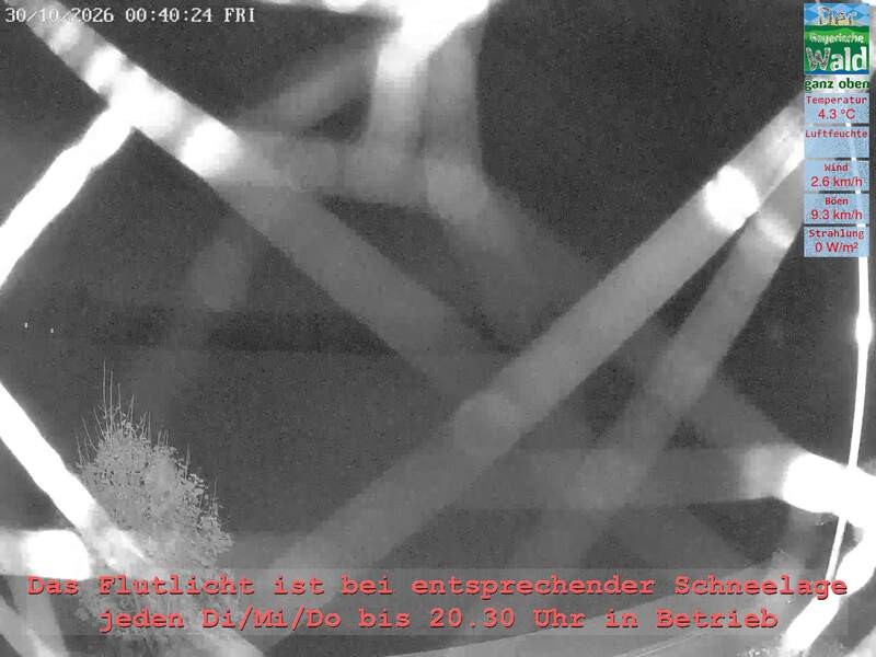 Archiv Foto Webcam Naturpark Oberer Bayerischer Wald - Infopunkt Althütte