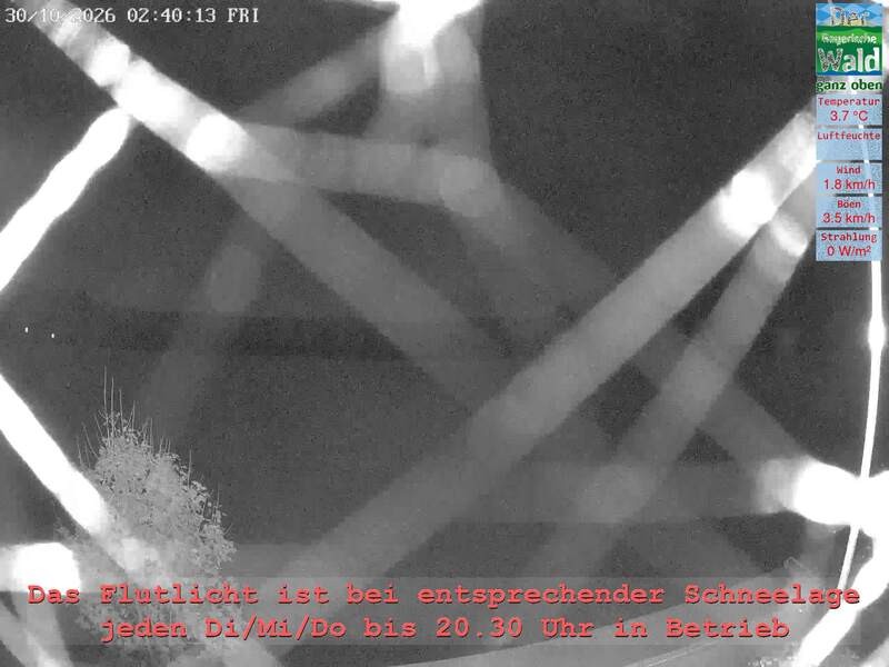 Archiv Foto Webcam Naturpark Oberer Bayerischer Wald - Infopunkt Althütte
