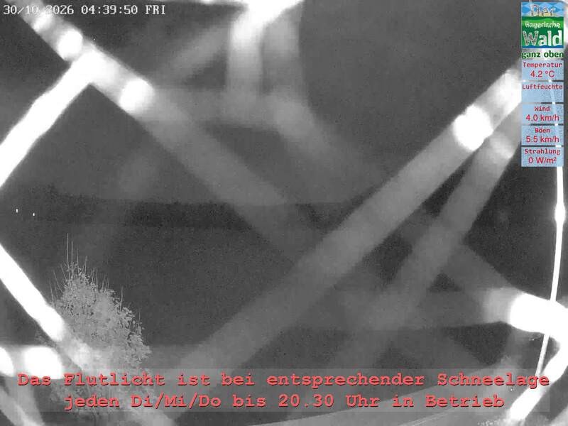 Archiv Foto Webcam Naturpark Oberer Bayerischer Wald - Infopunkt Althütte