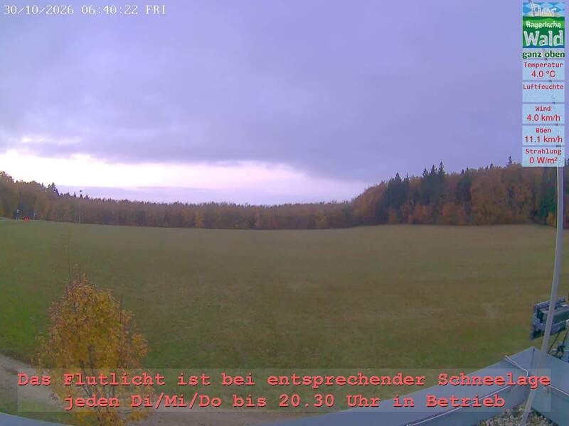 Archiv Foto Webcam Naturpark Oberer Bayerischer Wald - Infopunkt Althütte