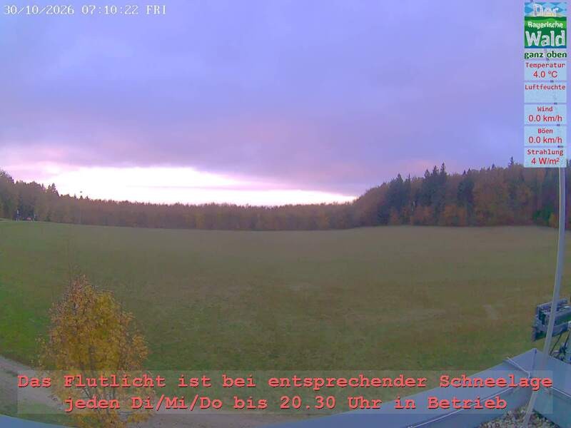 Archiv Foto Webcam Naturpark Oberer Bayerischer Wald - Infopunkt Althütte