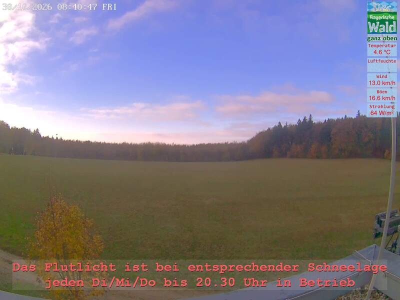 Archiv Foto Webcam Naturpark Oberer Bayerischer Wald - Infopunkt Althütte