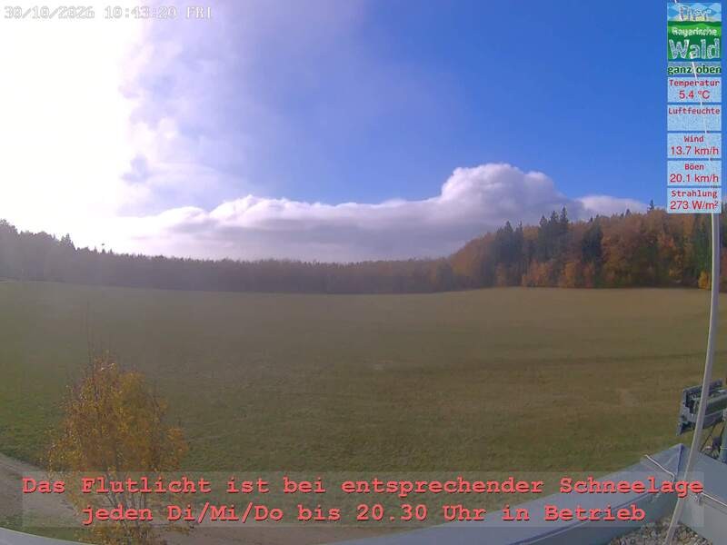 Archiv Foto Webcam Naturpark Oberer Bayerischer Wald - Infopunkt Althütte