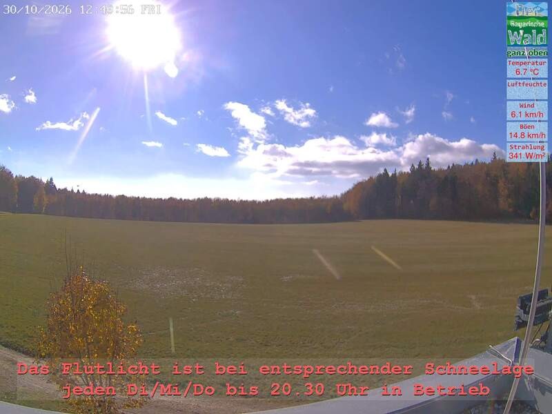 Archiv Foto Webcam Naturpark Oberer Bayerischer Wald - Infopunkt Althütte