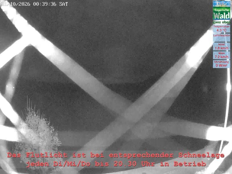 Archiv Foto Webcam Naturpark Oberer Bayerischer Wald - Infopunkt Althütte