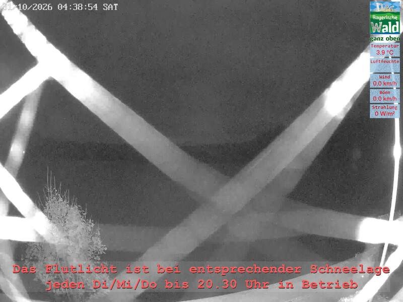Archiv Foto Webcam Naturpark Oberer Bayerischer Wald - Infopunkt Althütte