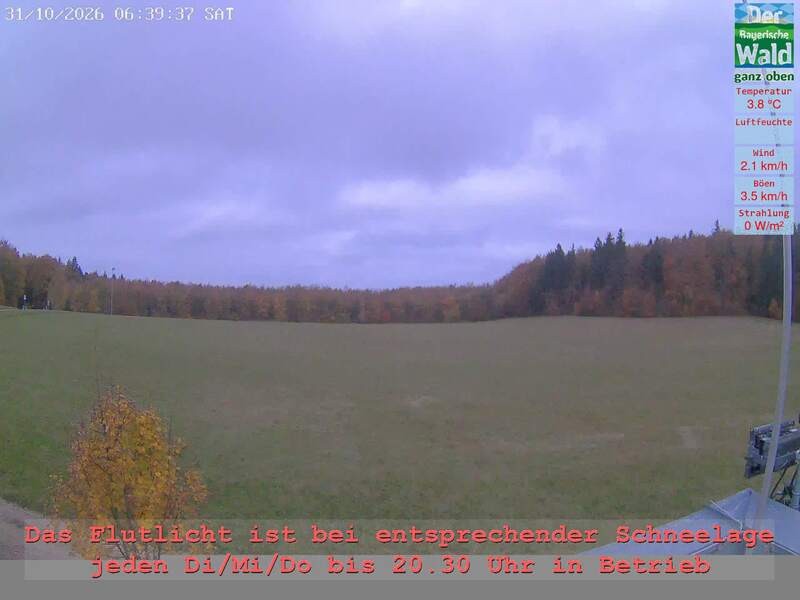 Archiv Foto Webcam Naturpark Oberer Bayerischer Wald - Infopunkt Althütte