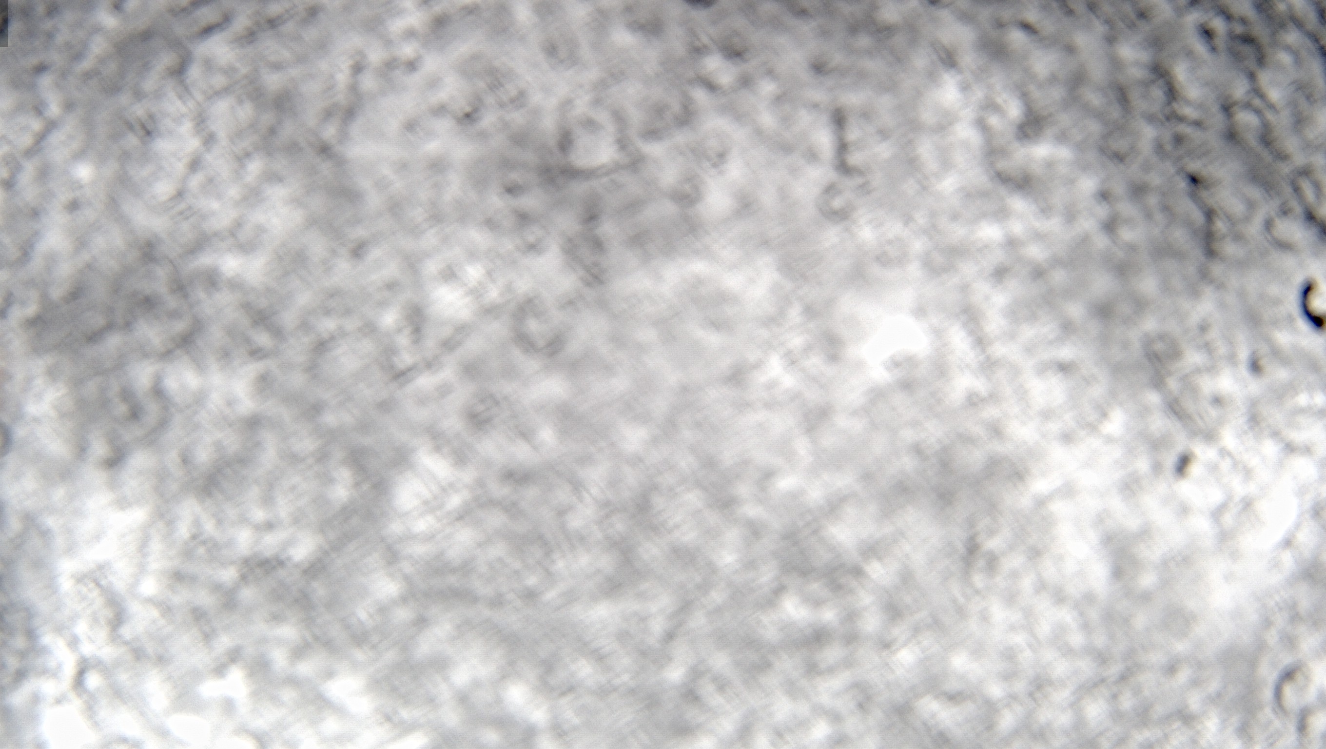 Archiv Foto Webcam Tauplitz - Skilift Grafenwiese