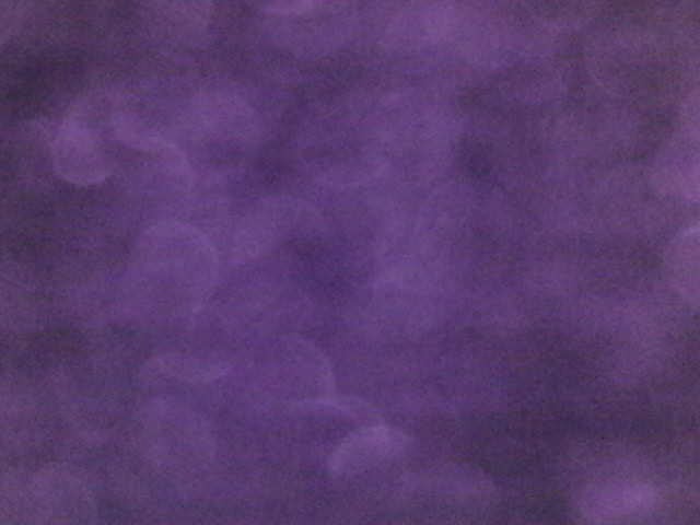 Archiv Foto Webcam Tragöß Angererhof - Blick Norden