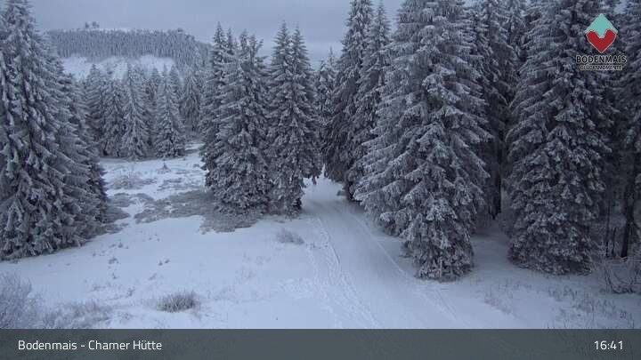 Archiv Foto Webcam Bodenmais - Schutzhütte Kl. Arber/Chamer Hütte