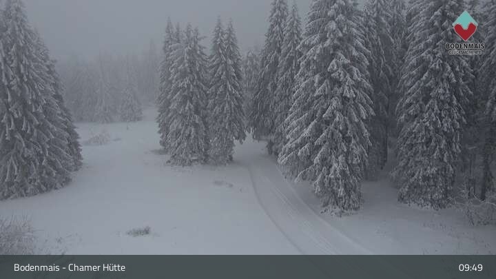 Archiv Foto Webcam Bodenmais - Schutzhütte Kl. Arber/Chamer Hütte