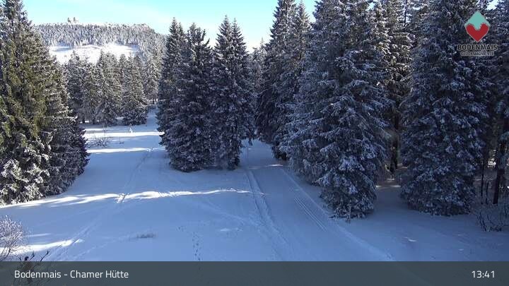 Archiv Foto Webcam Bodenmais - Schutzhütte Kl. Arber/Chamer Hütte